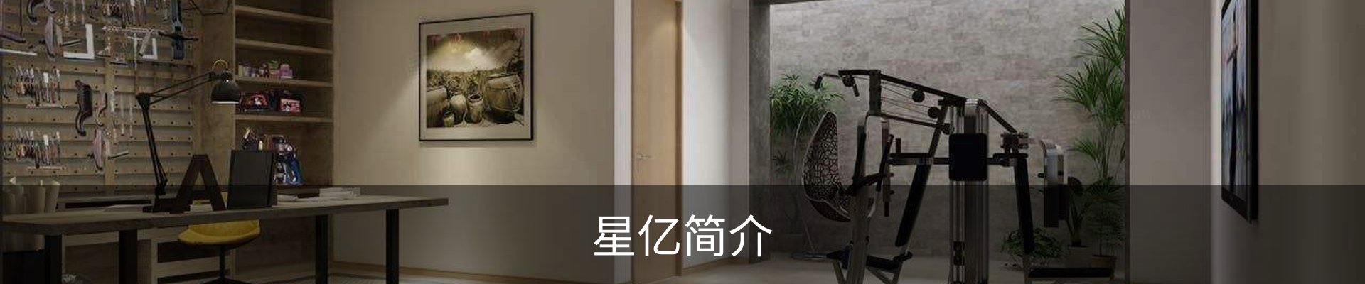 星亿简介
